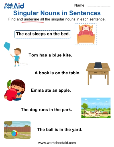 Finding Singular Nouns in Sentences