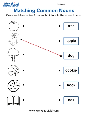 Matching Common Nouns To Pictures
