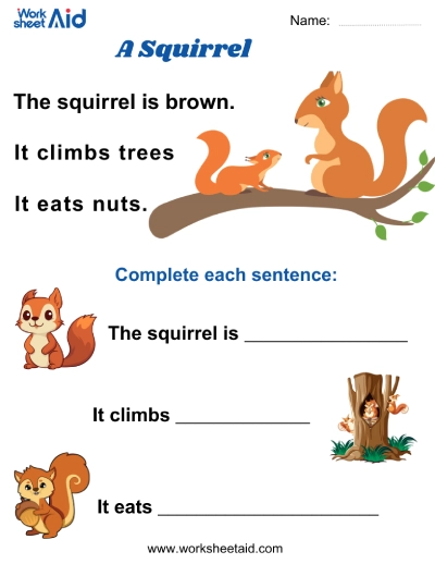A Squirrel - Simple Passages on Animal