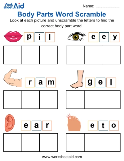 Body Parts Word Scramble